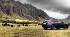 Subaru Outback Vs Crosstrek, masini pentru tineri cu personalitate